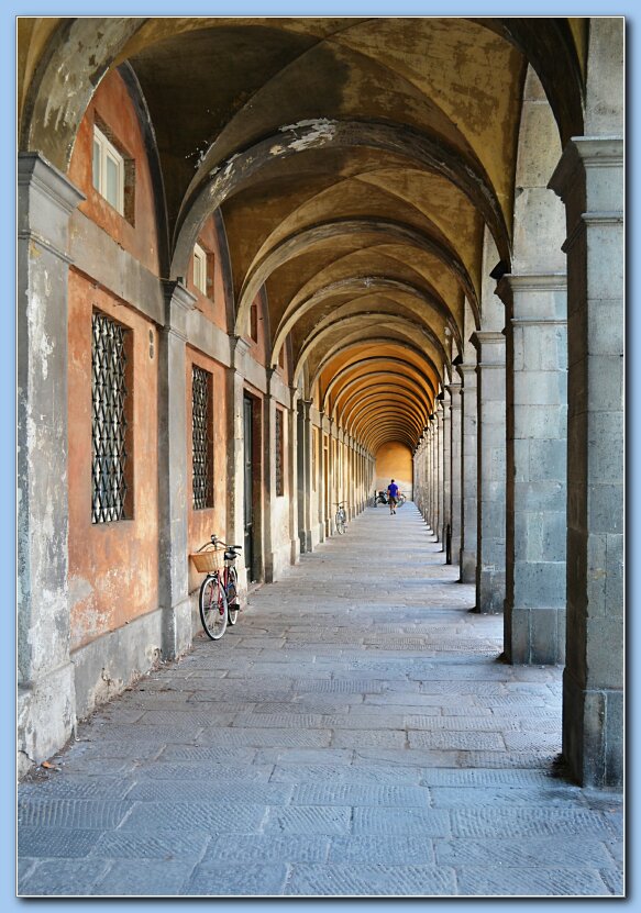 Lucca 7